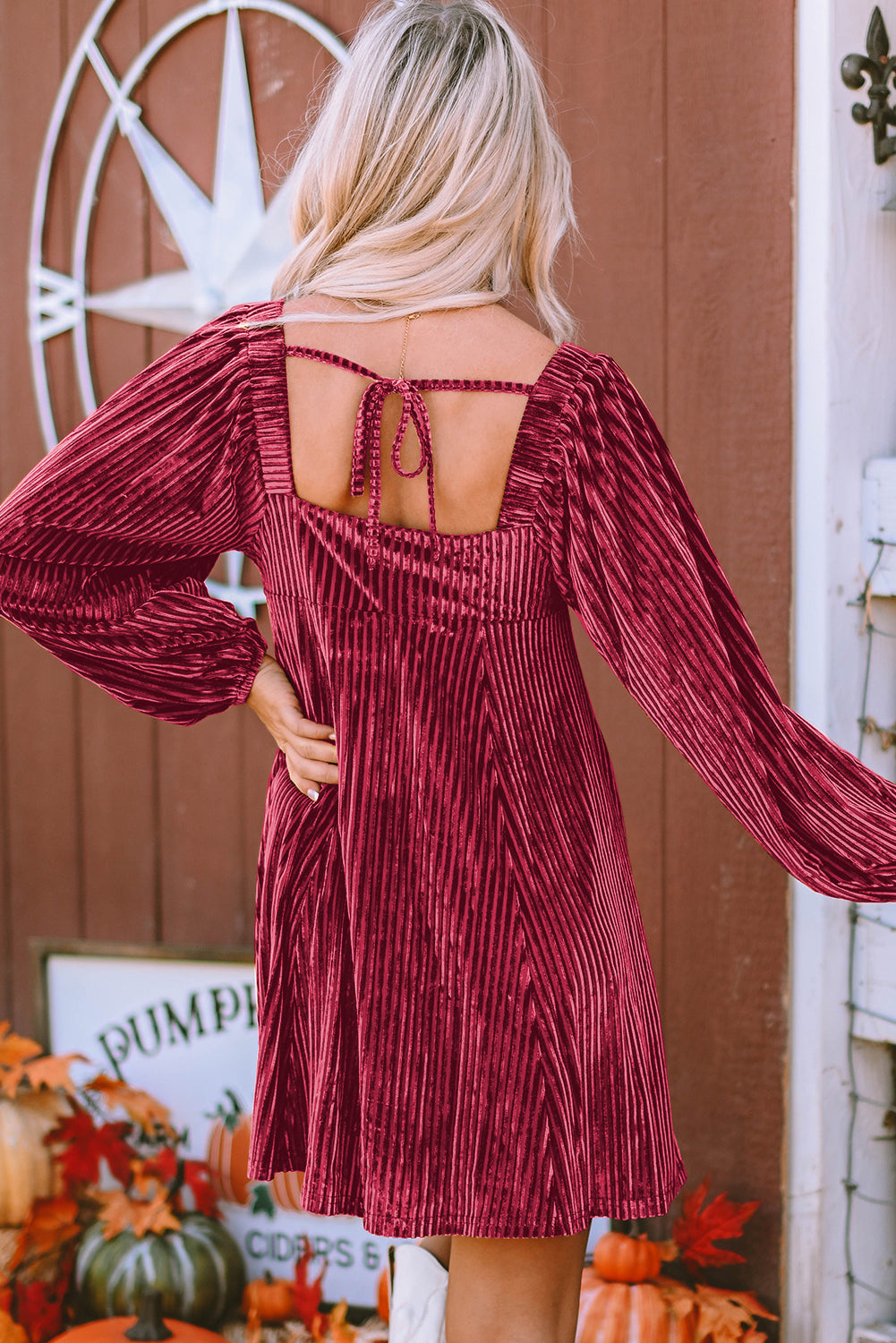 Pink Smocked Ribbed Velvet Babydoll Top