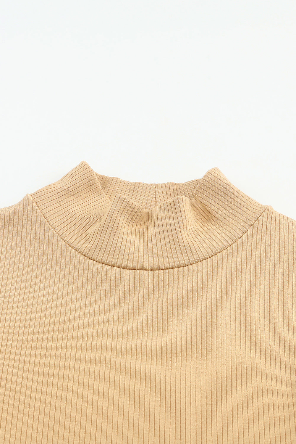 Black Ribbed Knit High Neck Long Sleeve Top