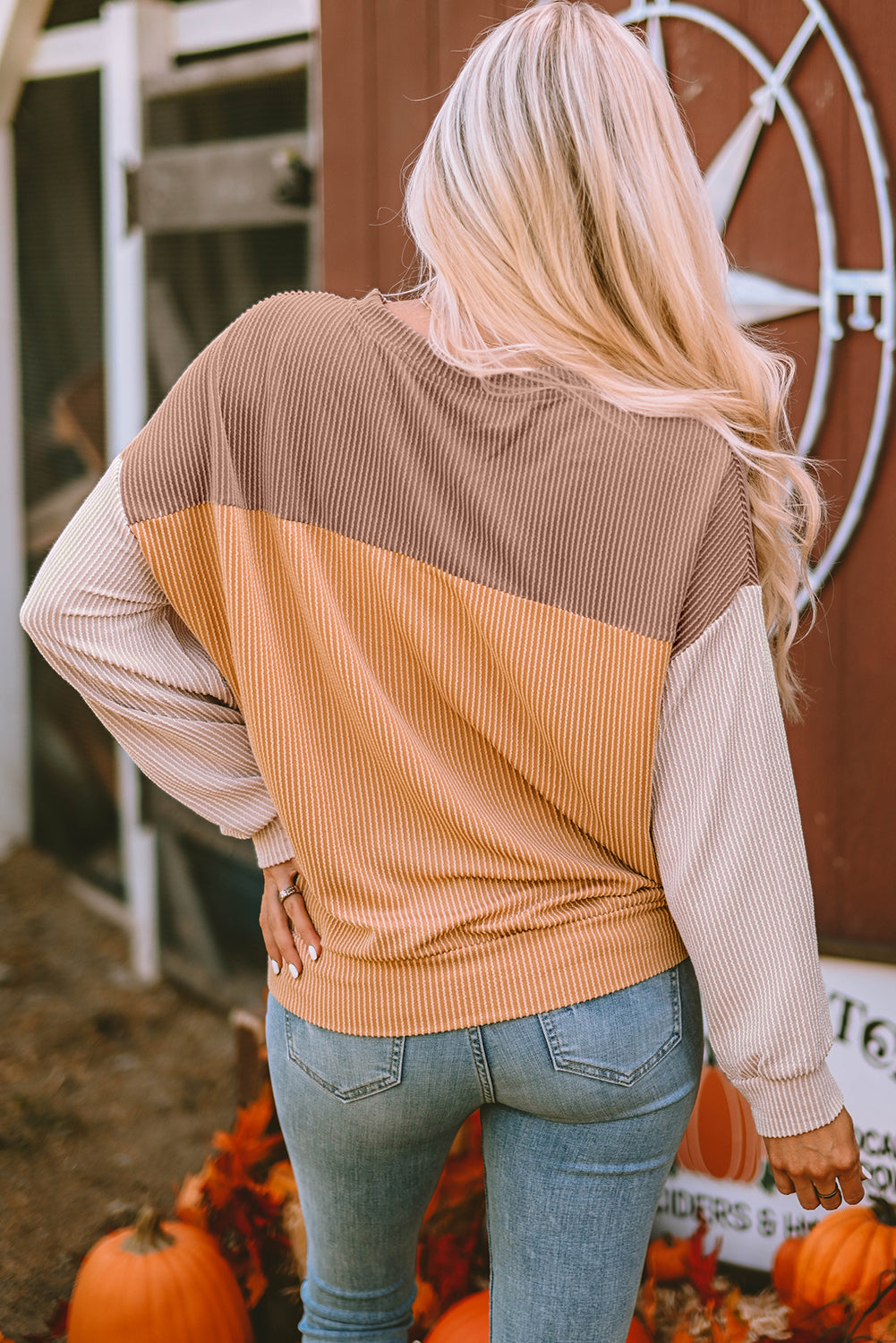 Mineral Red Plus Size Ribbed Colorblock Long Sleeve Top