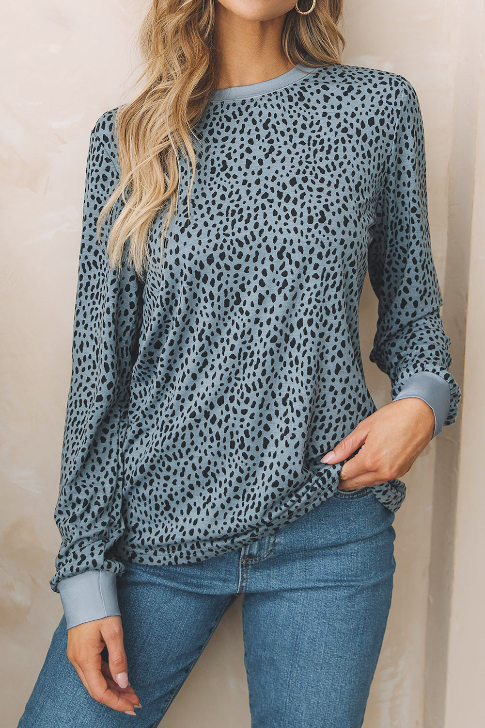 Animal Spotted Print Round Neck Long Sleeve Top
