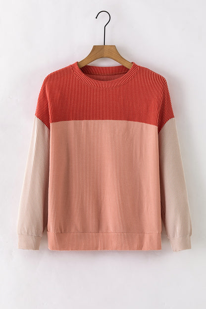 Mineral Red Plus Size Ribbed Colorblock Long Sleeve Top