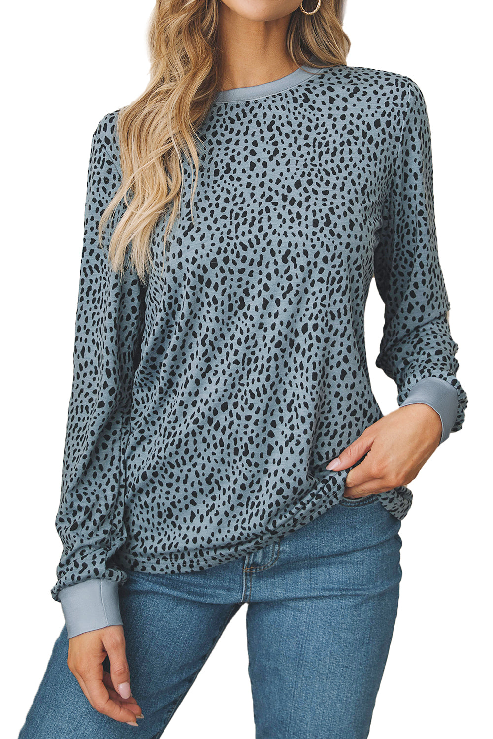 Animal Spotted Print Round Neck Long Sleeve Top
