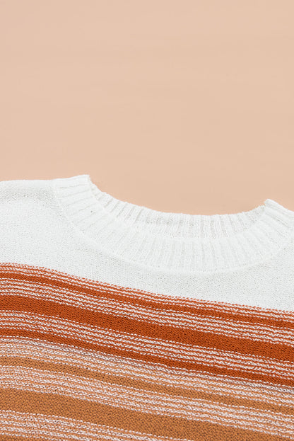 Multicolor Stripe Long Sleeve Round Neck Sweater