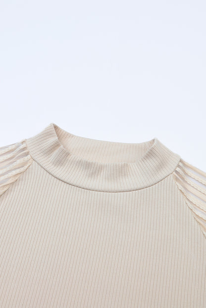Black Striped Mesh Long Sleeve Crewneck Ribbed Top