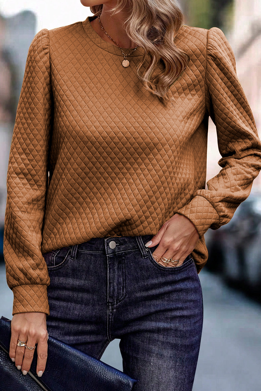 Black Solid Half Zipper Quilted Pullover Sweatshirt